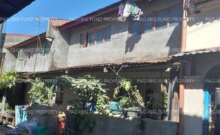 fil1520240831226