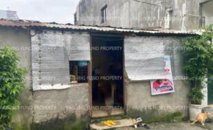 fil1520240904521