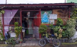 fil1520240904526