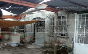 fil1520240911333