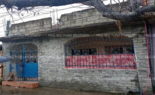 fil1520240913262