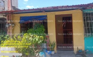 fil1520240924527