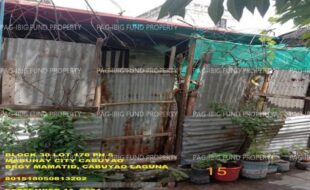 fil1520240924551