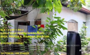 fil1520240926660