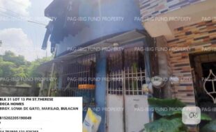 fil1520240926798