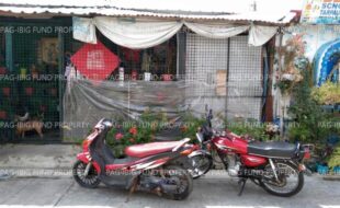 fil1520240926929