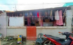fil1520240927105