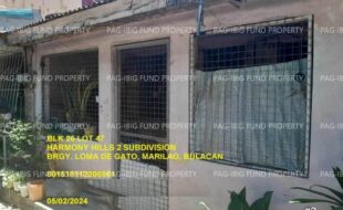 fil1520240927430