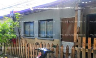 fil1520240927669