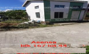 fil1520240927671