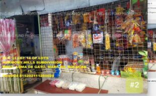 fil1520240927903