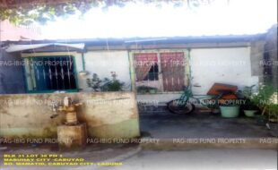 fil1520240928342