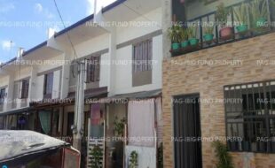 fil1520240928455