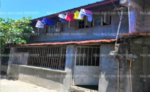 fil1520240930066