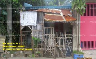 fil1520240930073