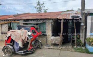 fil1520240930444