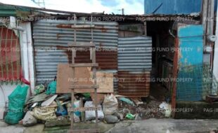 fil1520241001243