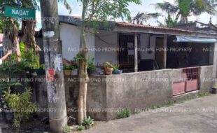 fil1520241001348