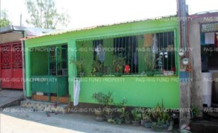 fil1520241001352