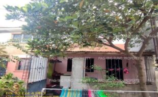 fil1520241001367