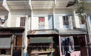 fil1520241001377