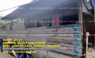 fil1520241001489