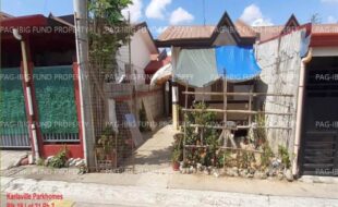 fil1520241001668