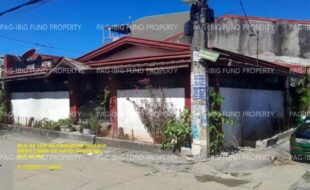 fil1520241001816