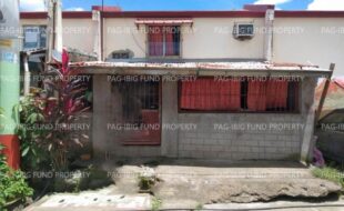 fil1520241002195