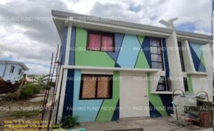 fil1520241002255