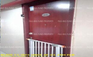 fil1520241002391