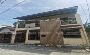fil1520241002436