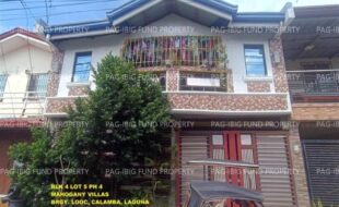 fil1520241002449