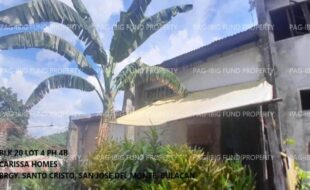 fil1520241002528