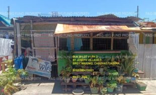 fil1520241003133