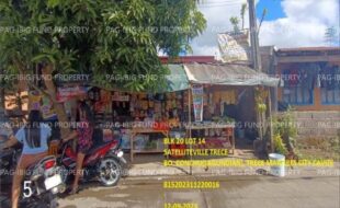 fil1520241003224