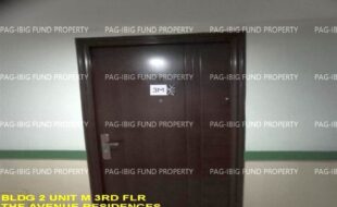 fil1520241003269