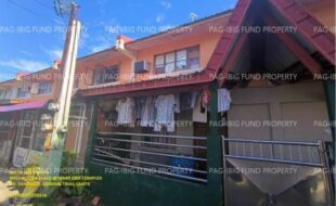 fil1520241003326