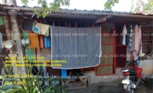 fil1520241003330