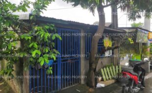 fil1520241003341