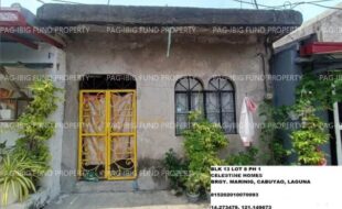 fil1520241003376
