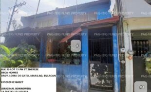fil1520241003748