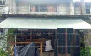 fil1520241003782