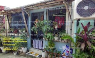 fil1520241004029