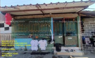 fil1520241004113