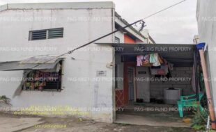 fil1520241004208