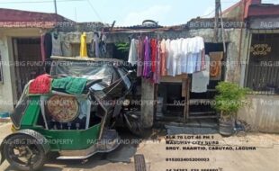 fil1520241004623