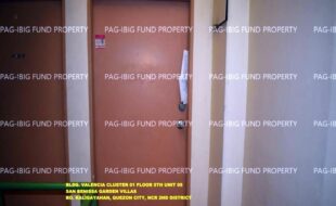 fil1520241004796