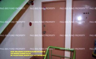 fil1520241004824
