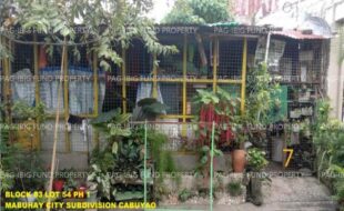 fil1520241004949